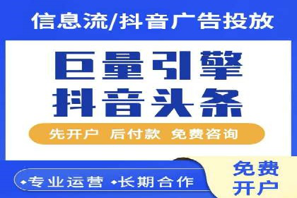 某行业领军企业的SEM广告投放策略